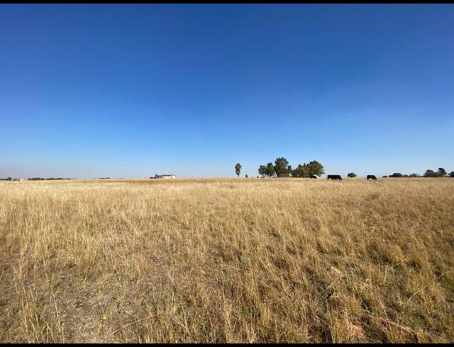 FARM FOR SALE IN MEYERTON